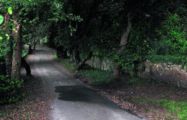 Este es el lugar en el que apareció muerto el concejal, en La Pesa de Pría (Llanes). 