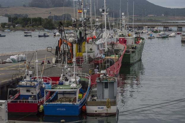 Pesca anuncia una reapertura de la costera del bonito sin efectos prácticos