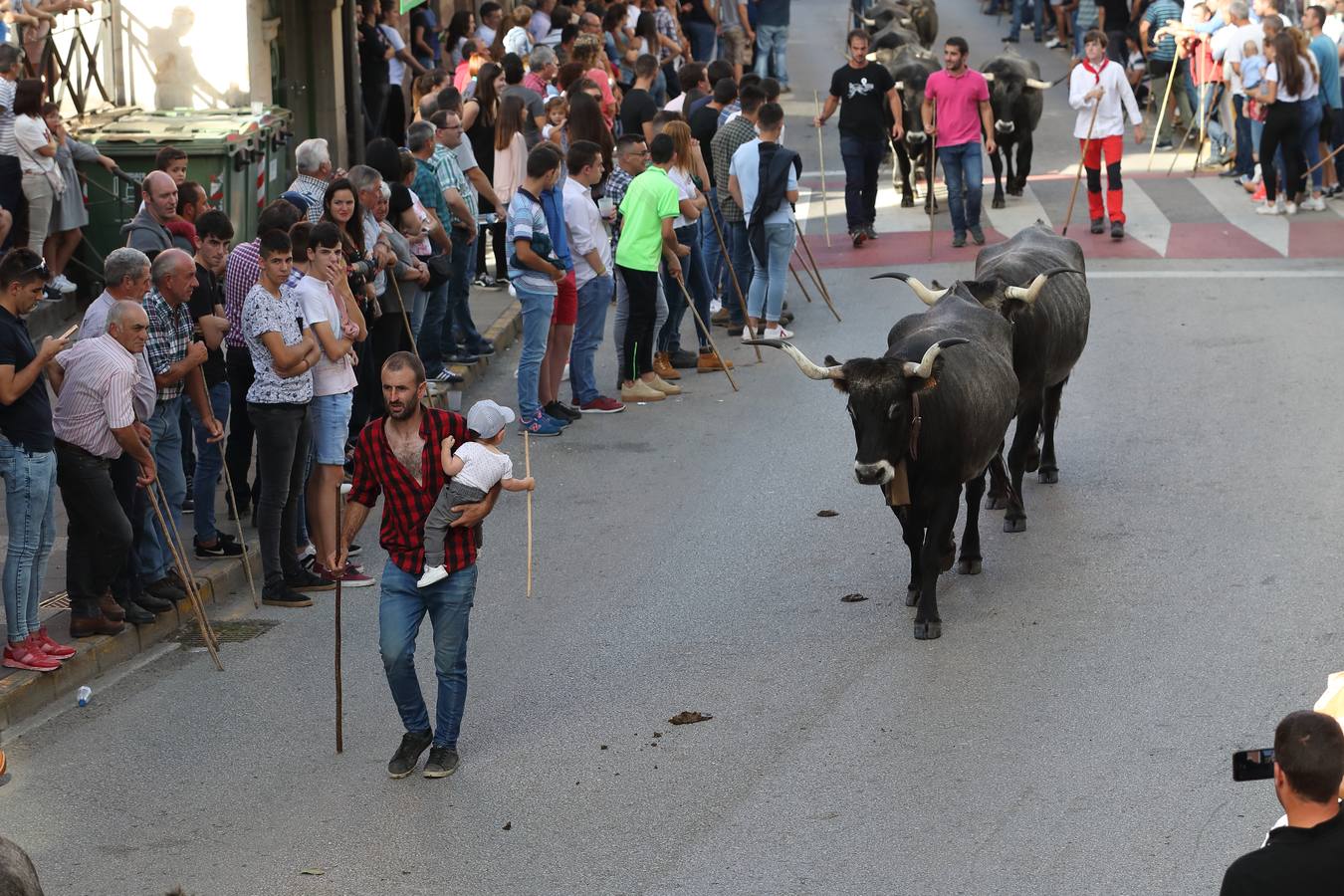 La Olimpiada del Tudanco de Cabezón de la Sal ha reunido este viernes en su XXXIX edición a 911 reses de 28 ganaderías que desfilarán por el centro del municipio en la 'gran pasá' con la que se conmemora un año más la tradicional bajada del ganado de los puertos de montaña.