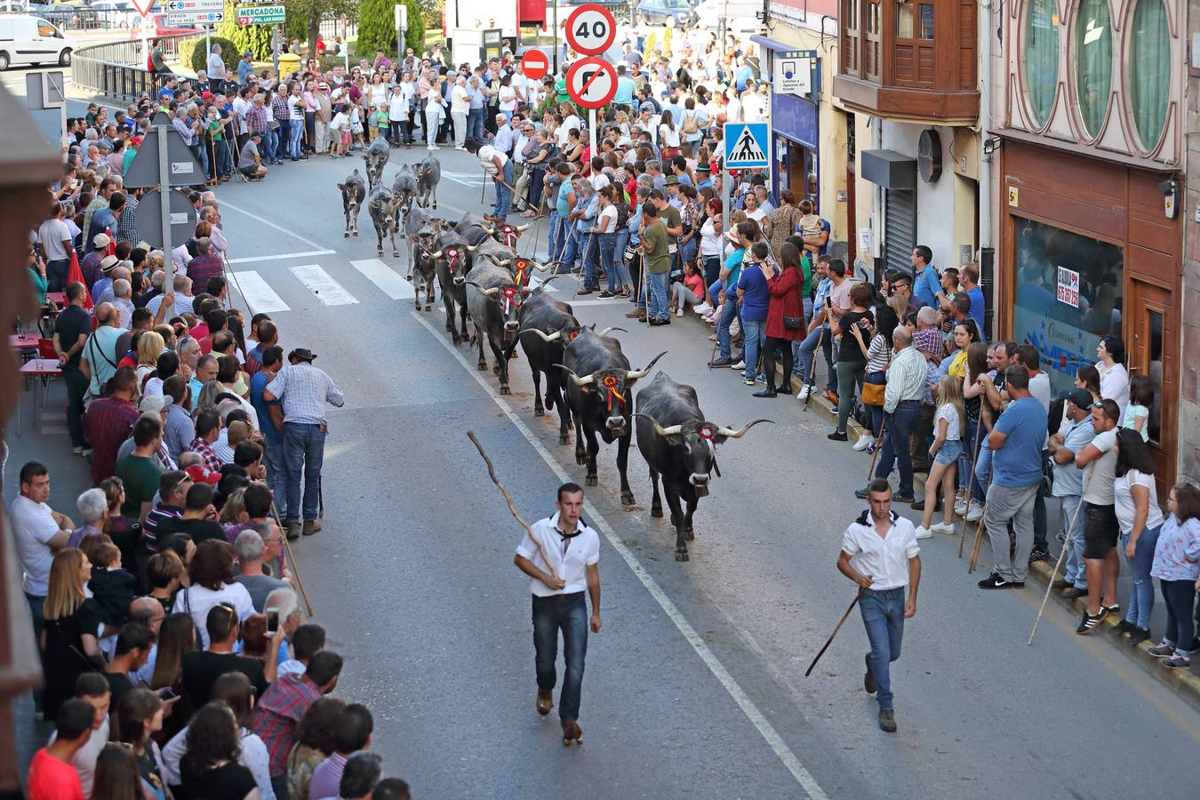 La Olimpiada del Tudanco de Cabezón de la Sal ha reunido este viernes en su XXXIX edición a 911 reses de 28 ganaderías que desfilarán por el centro del municipio en la 'gran pasá' con la que se conmemora un año más la tradicional bajada del ganado de los puertos de montaña.