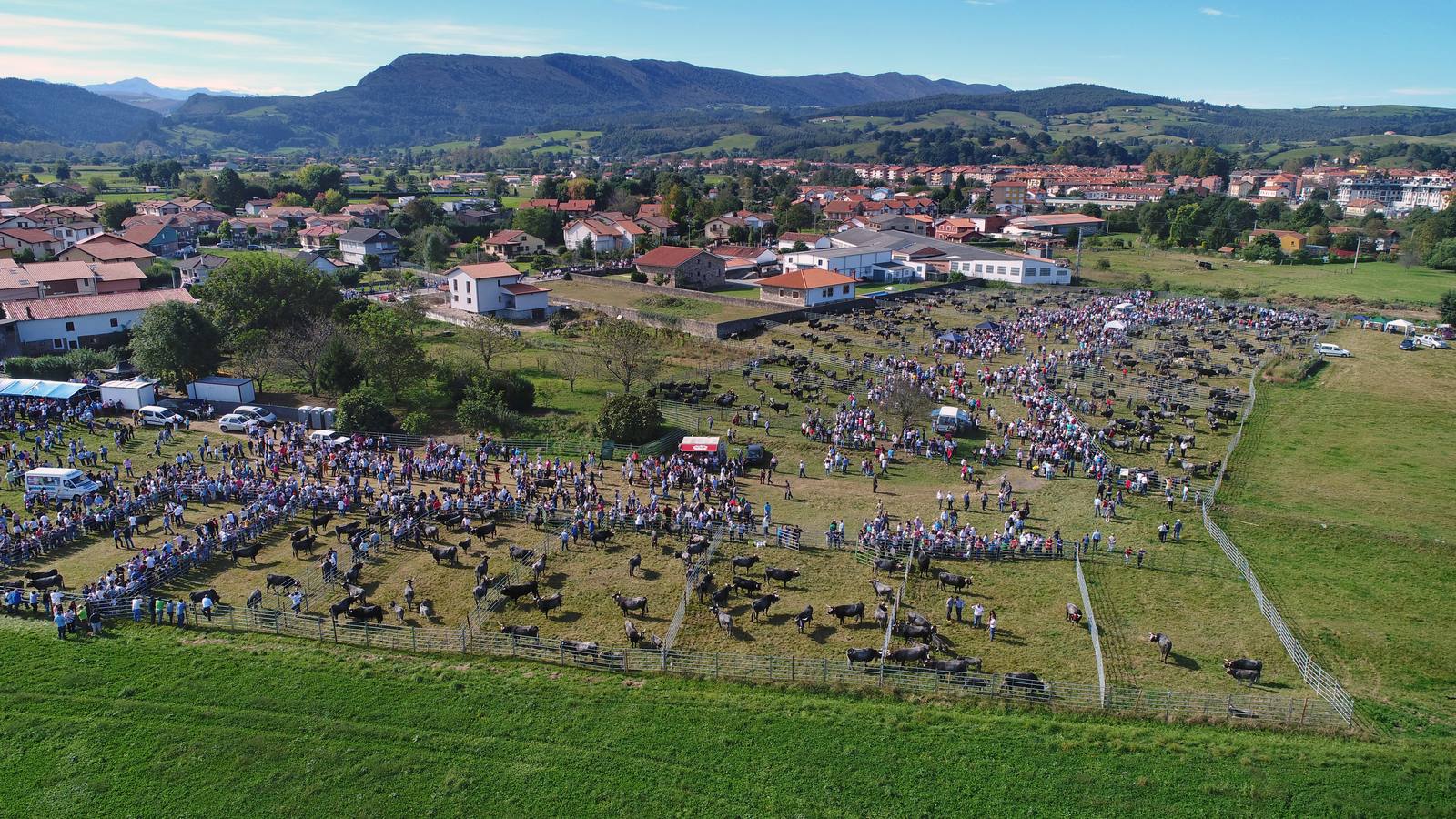 La Olimpiada del Tudanco de Cabezón de la Sal ha reunido este viernes en su XXXIX edición a 911 reses de 28 ganaderías que desfilarán por el centro del municipio en la 'gran pasá' con la que se conmemora un año más la tradicional bajada del ganado de los puertos de montaña.