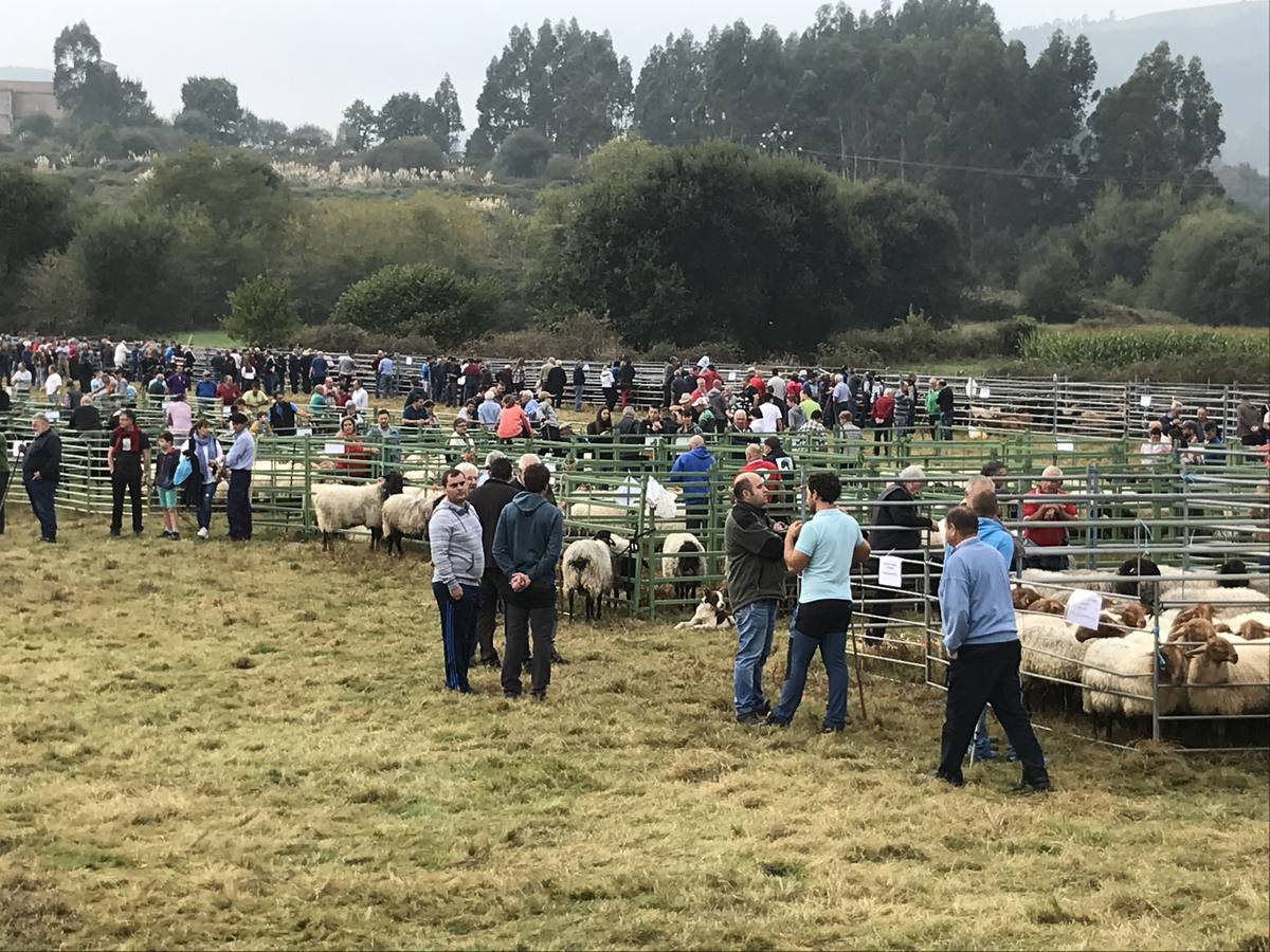 Fotos: La XXX Feria de Año en Guriezo