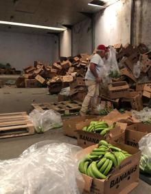 Imagen secundaria 2 - La droga estaba oculta en un cargamento de bananas. 