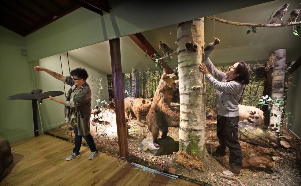 Los dioramas se han mejorado y cuentan con animales disecados y réplicas realizadas por expertos