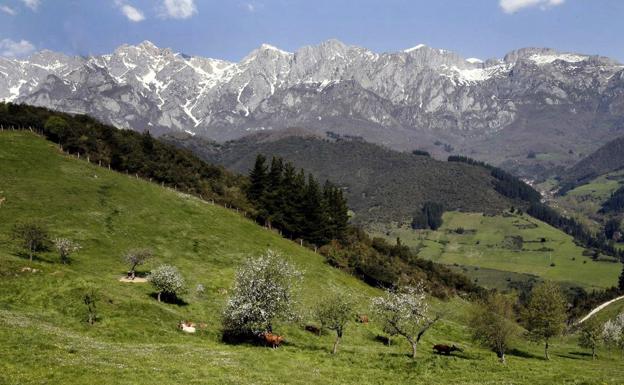 Los Picos de Europa vistos desde la comarca lebaniega.