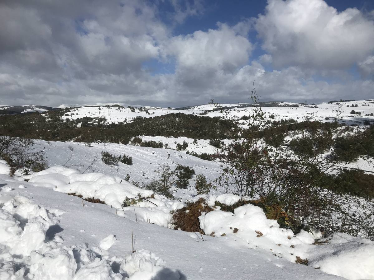 Las nevadas del fin de semana dejan impresionantes imágenes de pueblos teñidos de blanco en el sur de Cantabria. Desde Arroyo a Bustasur, un recorrido por estos paisajes de un invierno adelantado