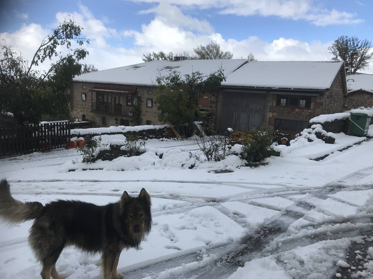 Las nevadas del fin de semana dejan impresionantes imágenes de pueblos teñidos de blanco en el sur de Cantabria. Desde Arroyo a Bustasur, un recorrido por estos paisajes de un invierno adelantado