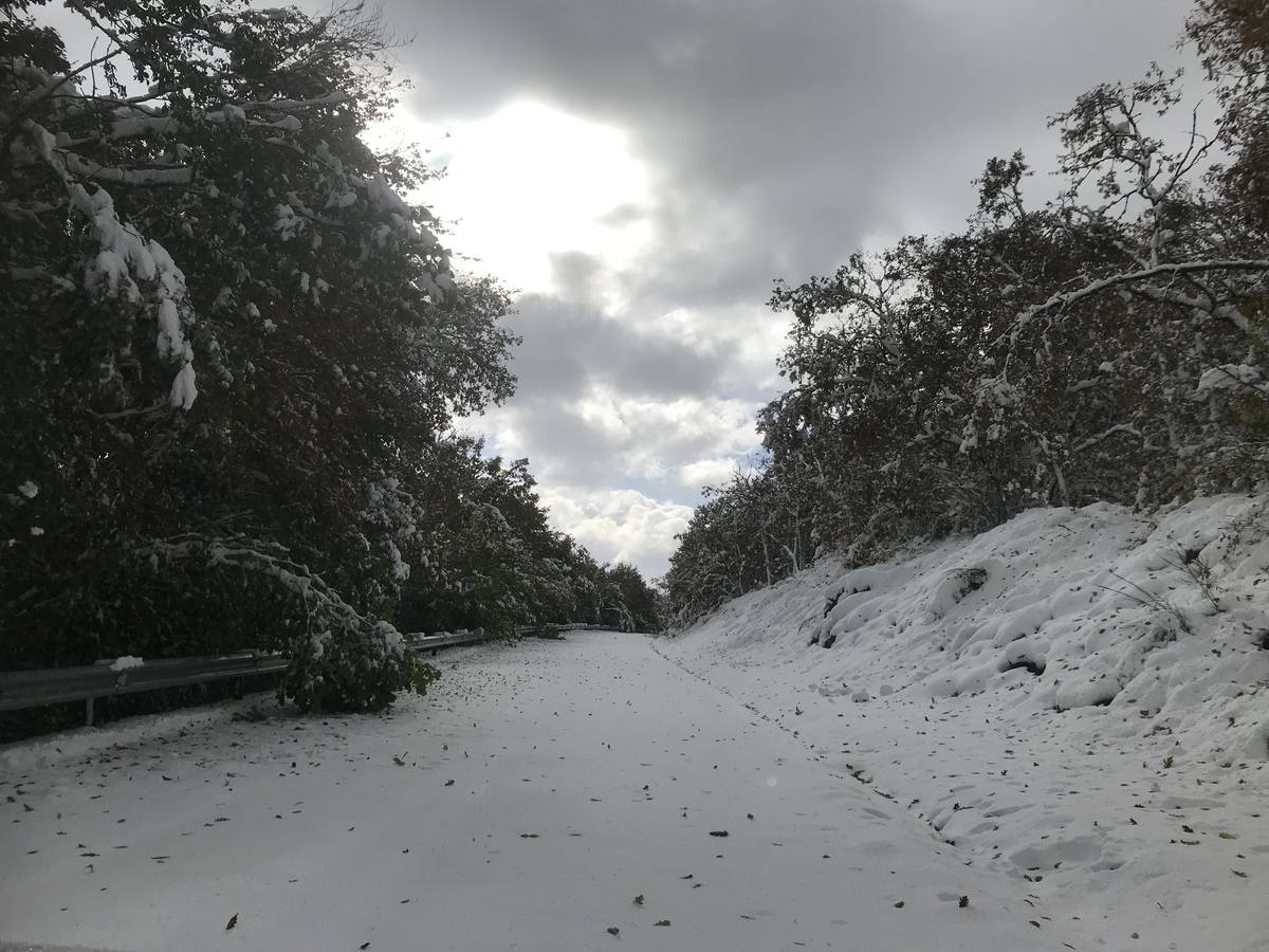 Las nevadas del fin de semana dejan impresionantes imágenes de pueblos teñidos de blanco en el sur de Cantabria. Desde Arroyo a Bustasur, un recorrido por estos paisajes de un invierno adelantado