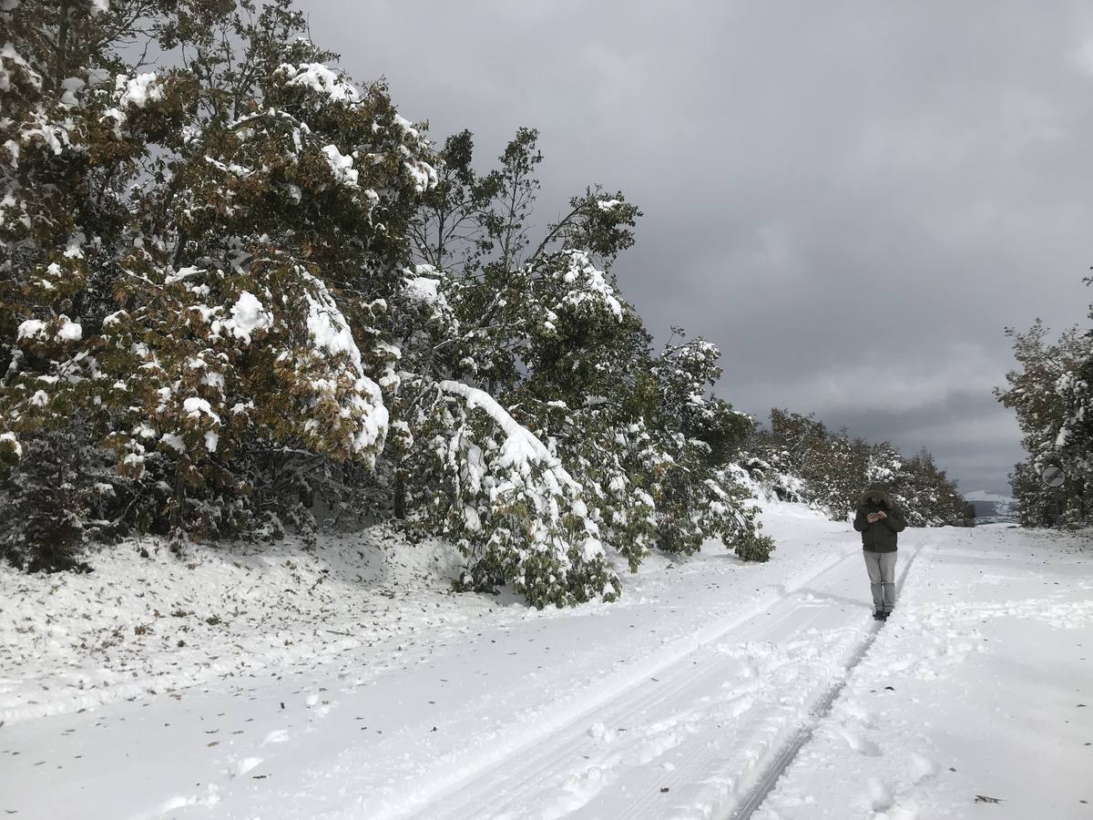 Las nevadas del fin de semana dejan impresionantes imágenes de pueblos teñidos de blanco en el sur de Cantabria. Desde Arroyo a Bustasur, un recorrido por estos paisajes de un invierno adelantado