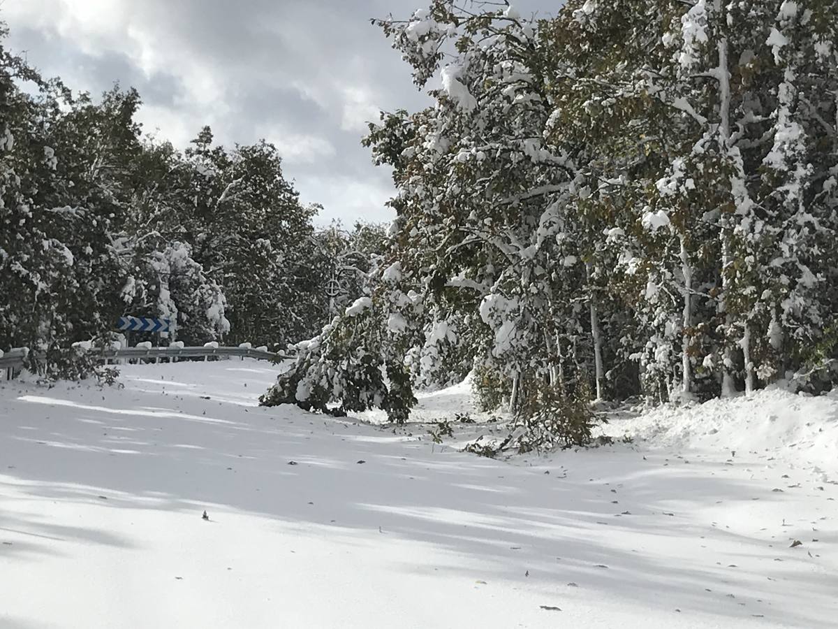 Las nevadas del fin de semana dejan impresionantes imágenes de pueblos teñidos de blanco en el sur de Cantabria. Desde Arroyo a Bustasur, un recorrido por estos paisajes de un invierno adelantado