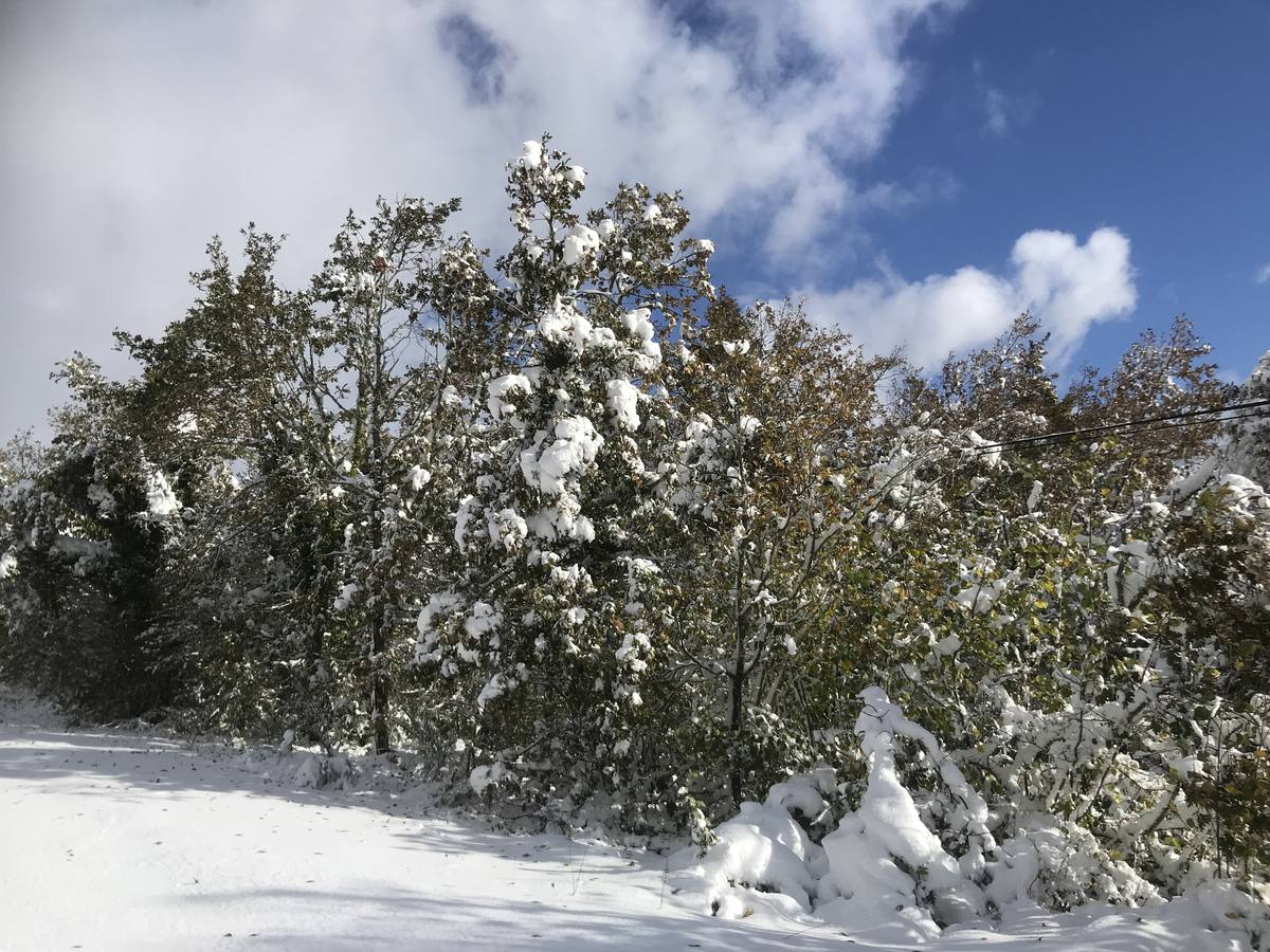 Las nevadas del fin de semana dejan impresionantes imágenes de pueblos teñidos de blanco en el sur de Cantabria. Desde Arroyo a Bustasur, un recorrido por estos paisajes de un invierno adelantado