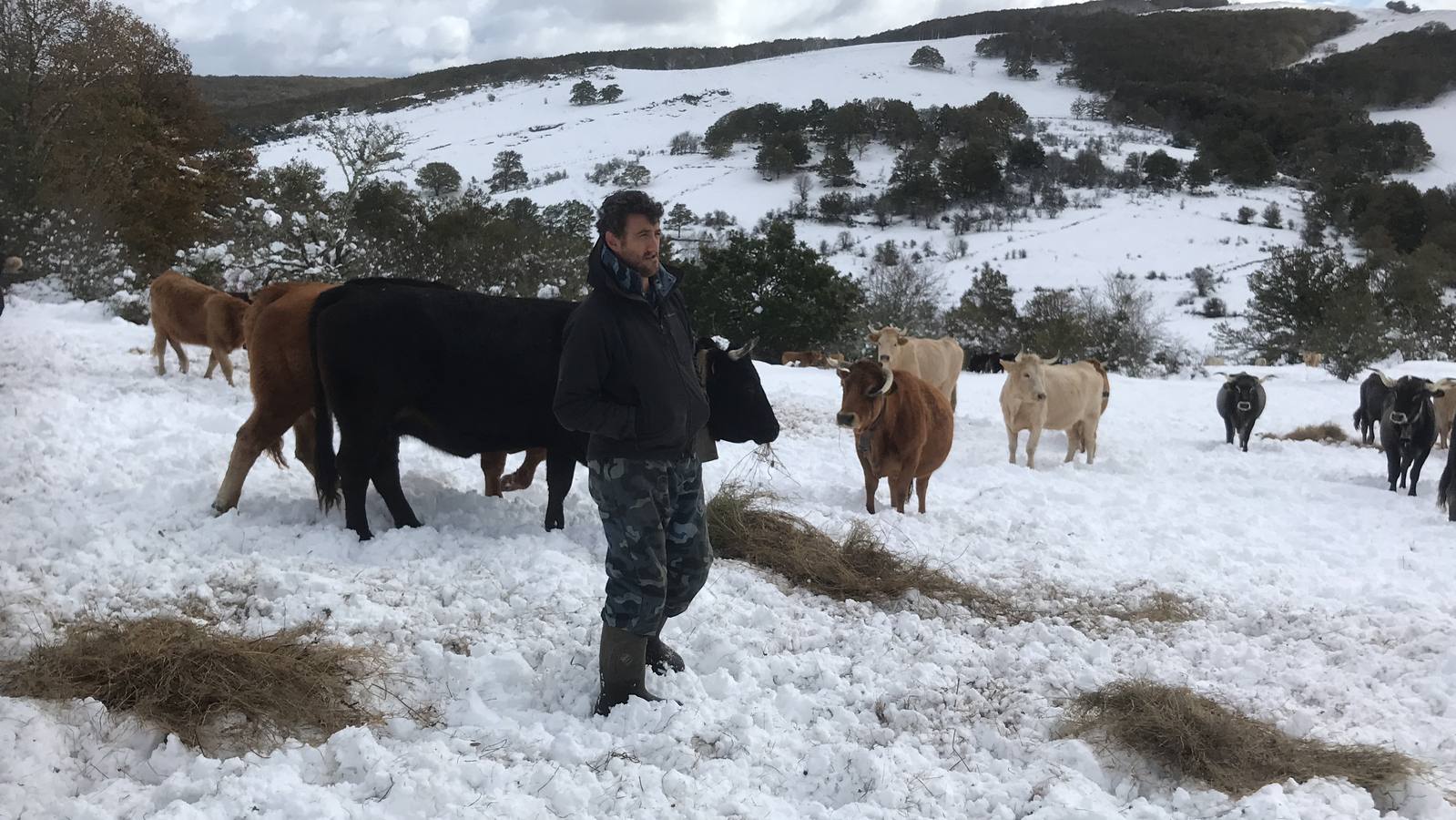 Las nevadas del fin de semana dejan impresionantes imágenes de pueblos teñidos de blanco en el sur de Cantabria. Desde Arroyo a Bustasur, un recorrido por estos paisajes de un invierno adelantado