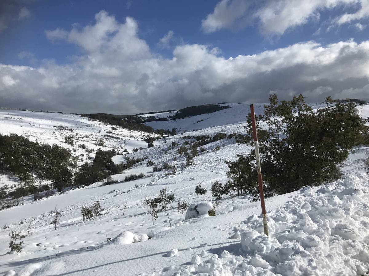 Las nevadas del fin de semana dejan impresionantes imágenes de pueblos teñidos de blanco en el sur de Cantabria. Desde Arroyo a Bustasur, un recorrido por estos paisajes de un invierno adelantado