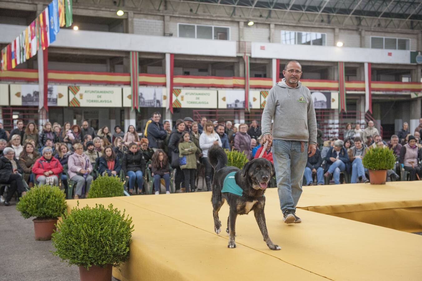 Fotos: Feria de Adopción Responsable &#039;Ciudad de Torrelavega&#039;