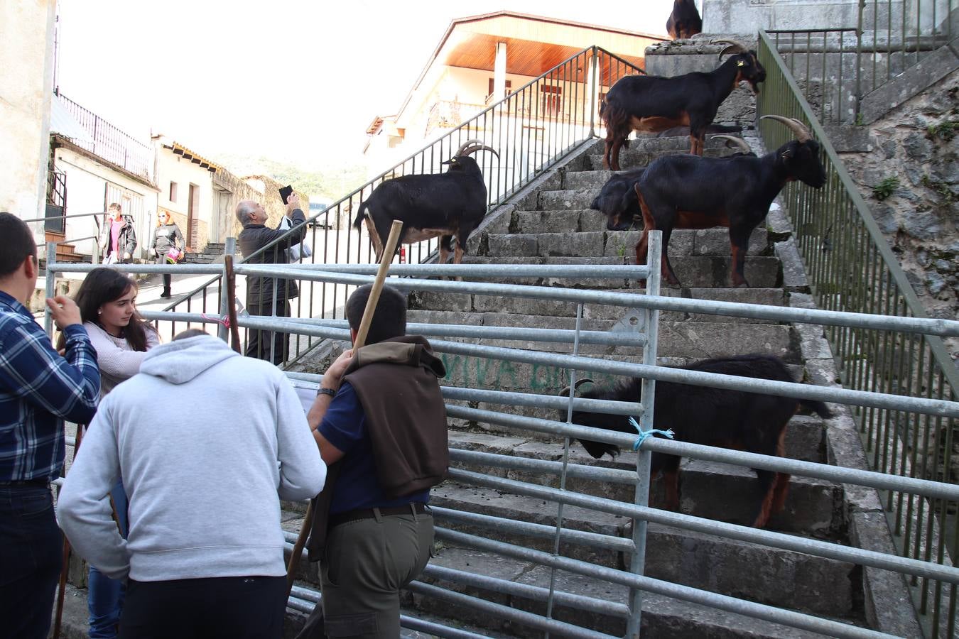 Fotos: Feria de Todos los Santos en Arredondo