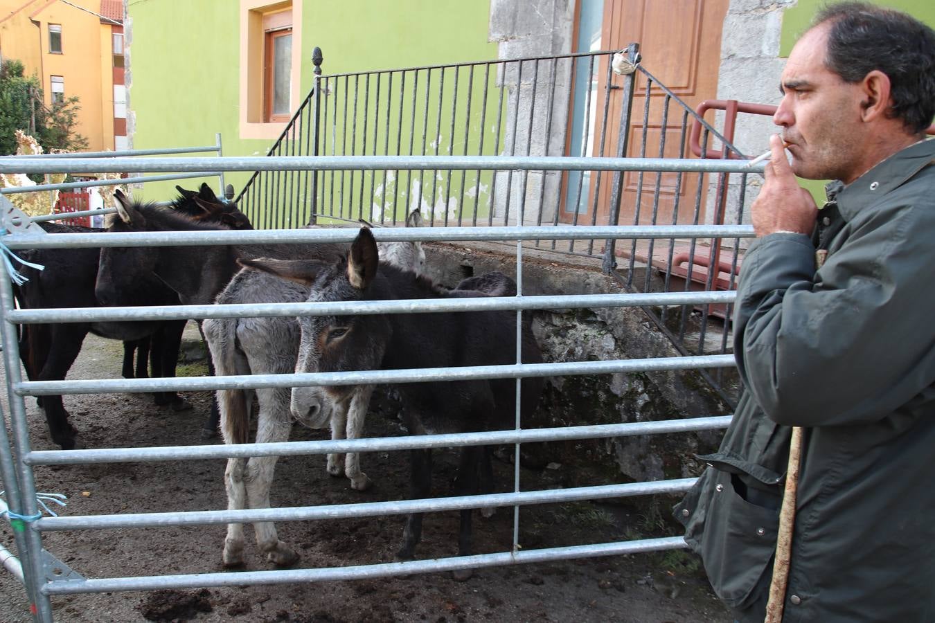 Fotos: Feria de Todos los Santos en Arredondo