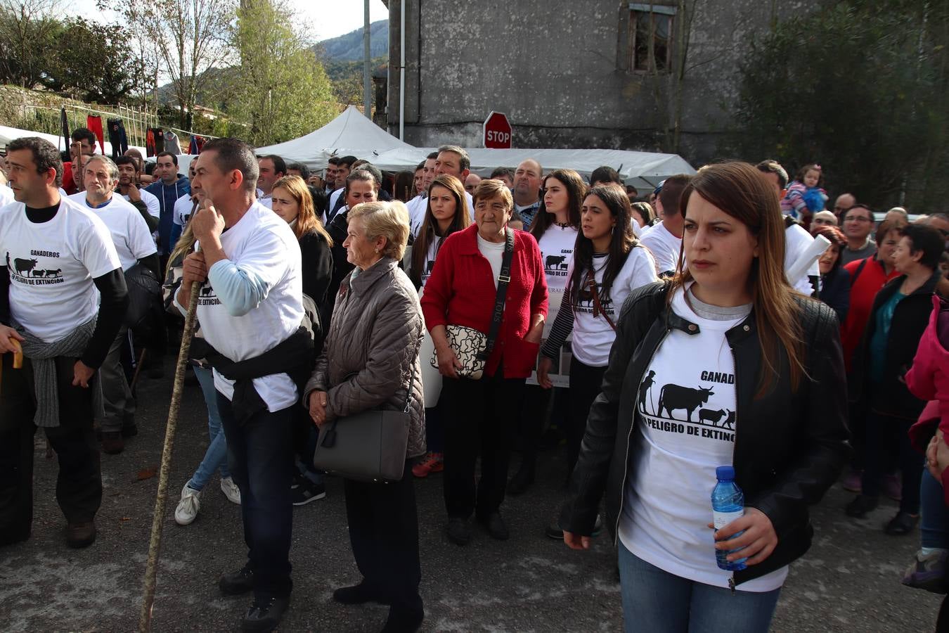 Fotos: Feria de Todos los Santos en Arredondo