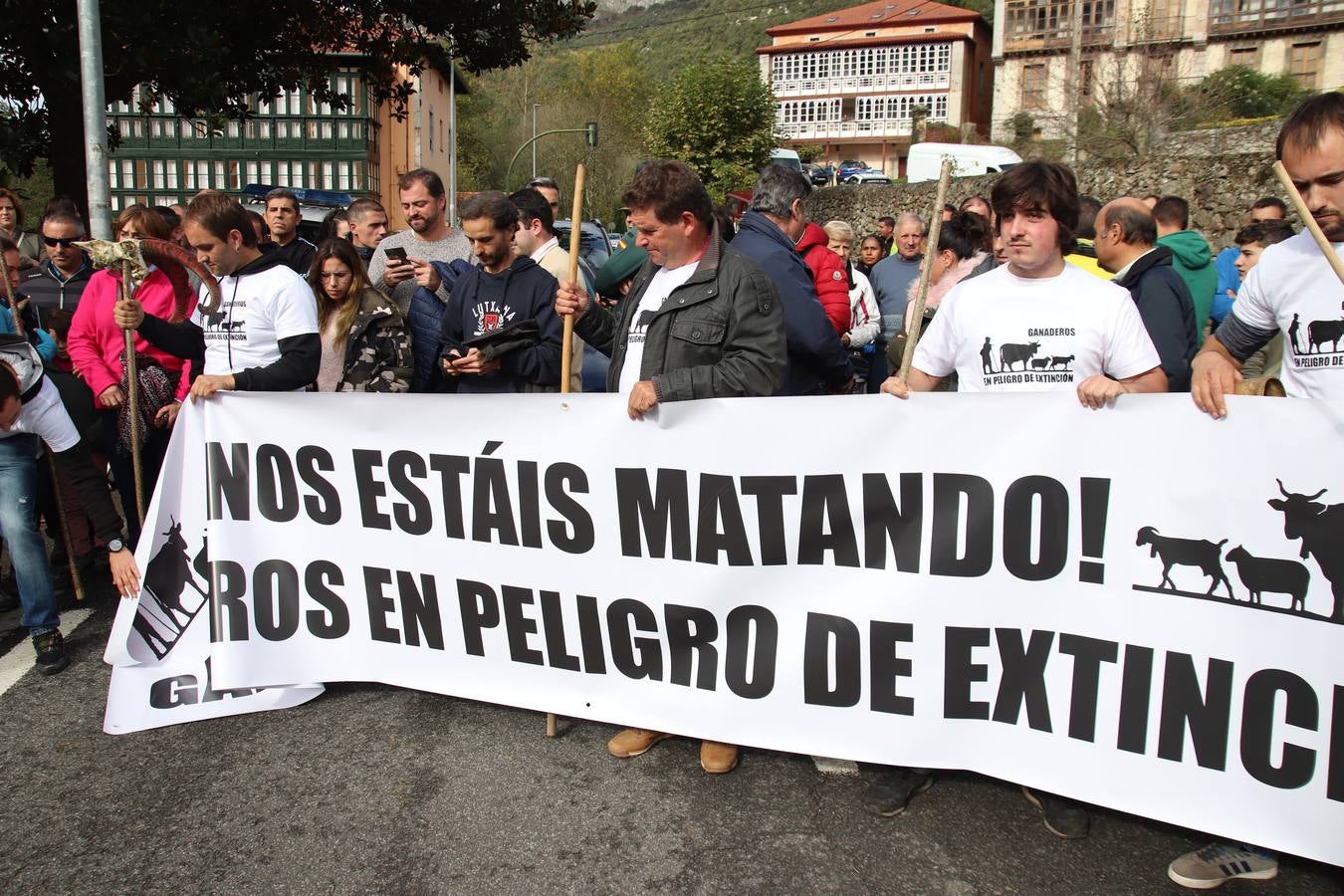 Fotos: Feria de Todos los Santos en Arredondo