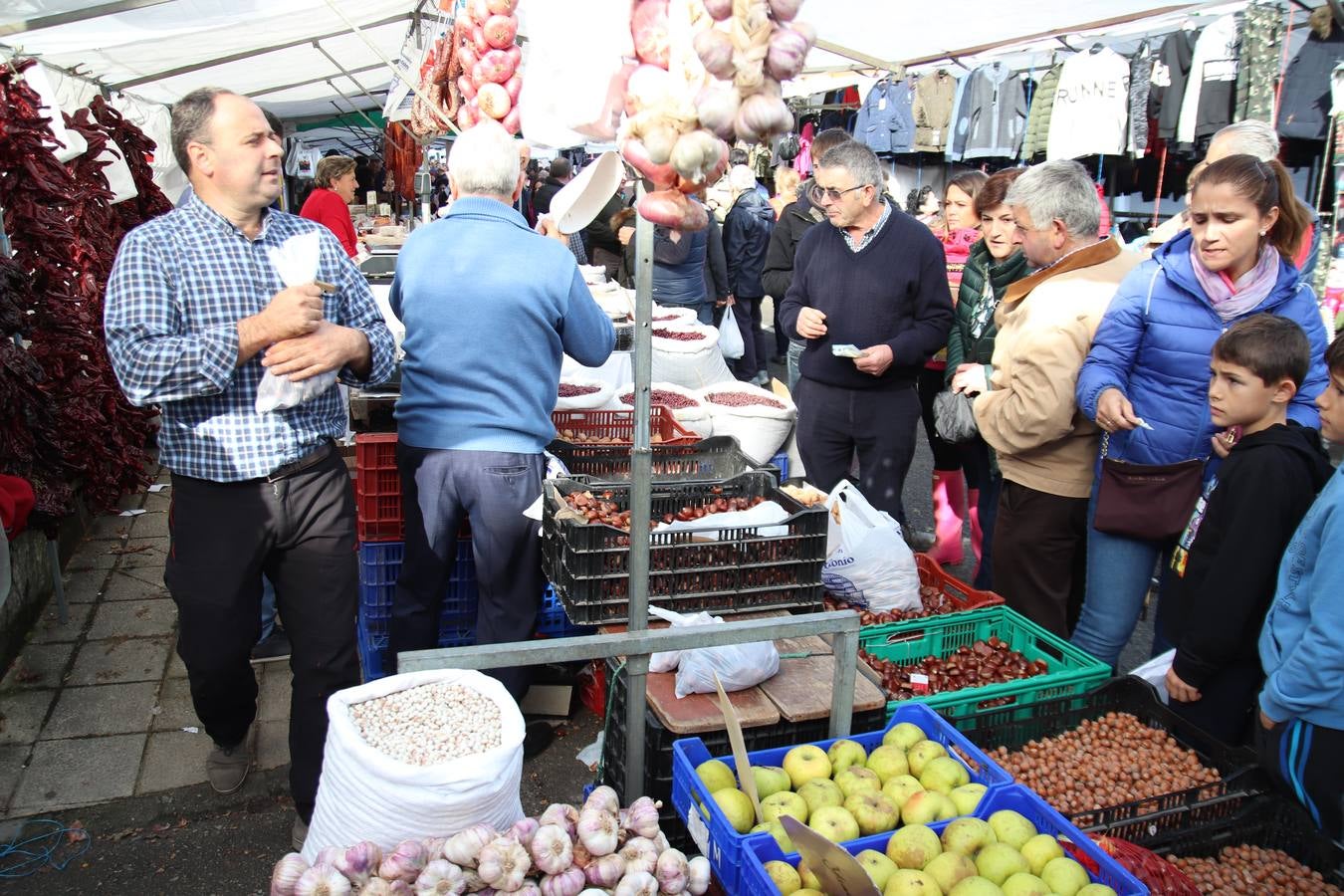 Fotos: Feria de Todos los Santos en Arredondo