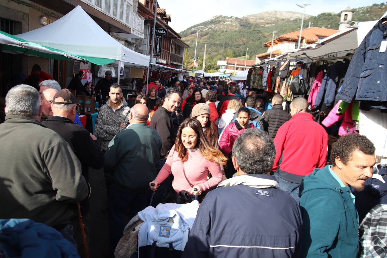 Fotos: Feria de Todos los Santos en Arredondo