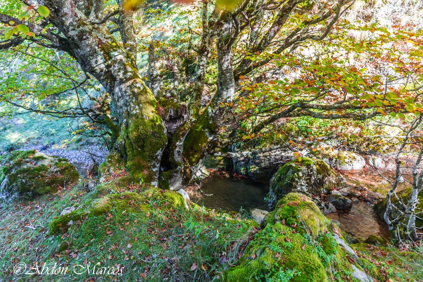 Fotos: Ruta Cucayo-Los Llares- Ladera del Pumar- Cucayo