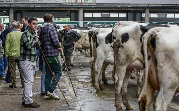 Cantabria registró en septiembre el precio de leche en origen más bajo de España