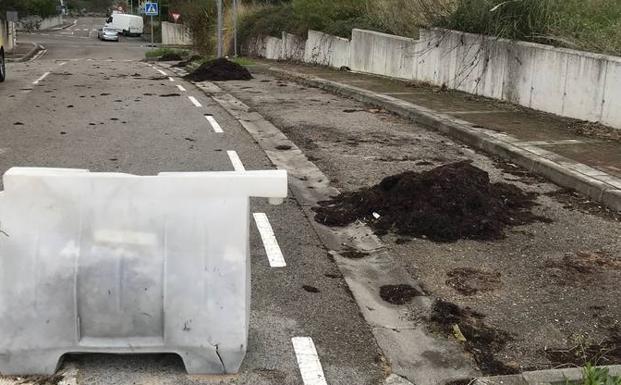 Algas amontonadas en Monte y esparcidas por el viento por la carretera.