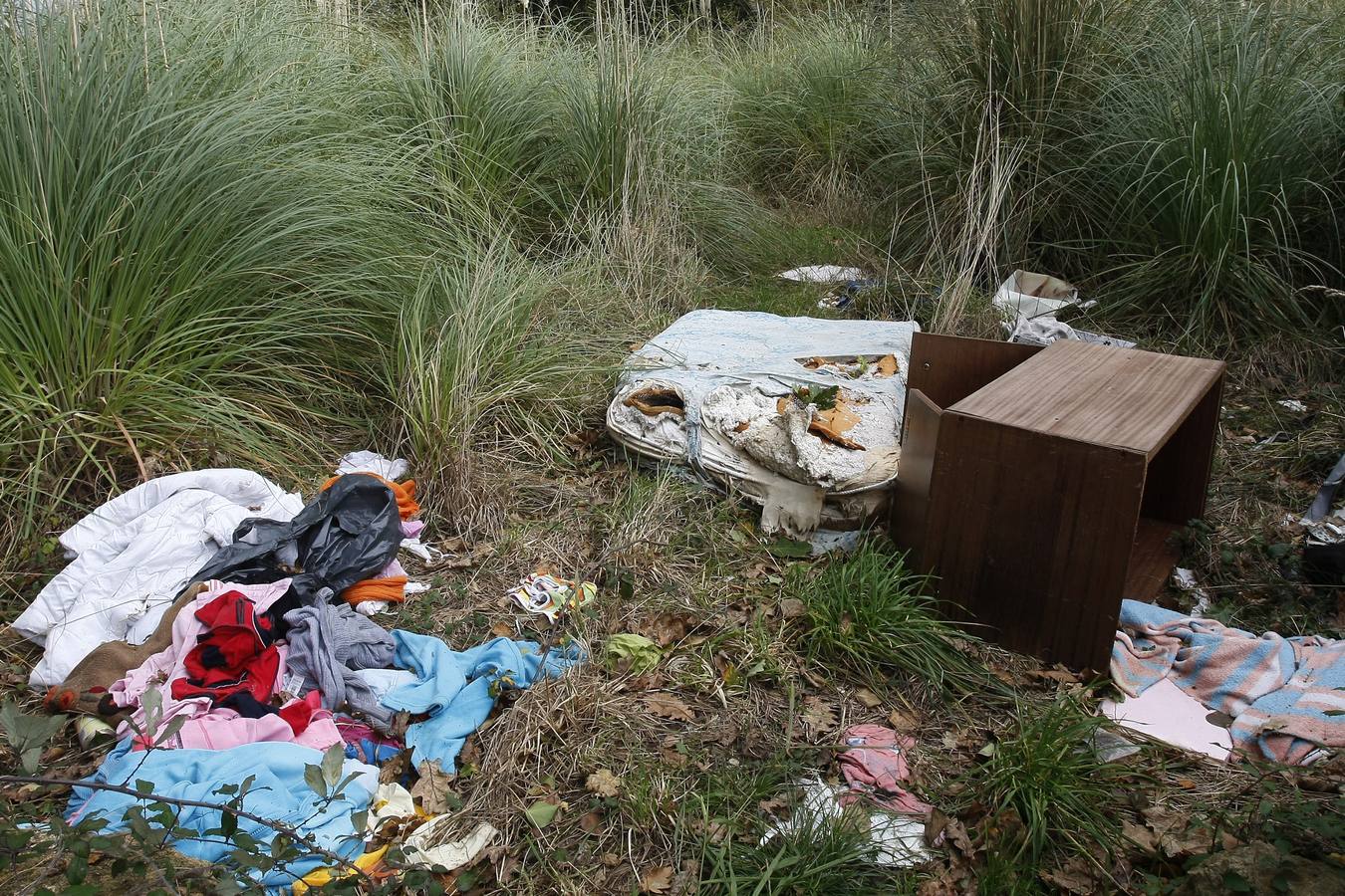 La basura se acumula en varios puntos que no acaban de desaparecer. El Ayuntamiento ha tramitado 170 expedientes en lo que va de año por denuncias contra el medio ambiente