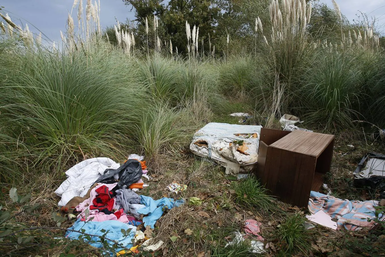 La basura se acumula en varios puntos que no acaban de desaparecer. El Ayuntamiento ha tramitado 170 expedientes en lo que va de año por denuncias contra el medio ambiente