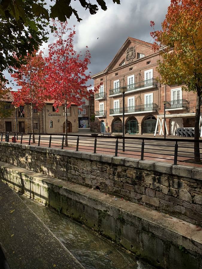 El otoño ya se deja sentir en los paisajes cántabros, que lucen transformados por esta época del año. Parajes como la Reserva del Saja, el Monte Corona, Los Tojos o Cabezón de la Sal lucen ya con los colores del otoño.