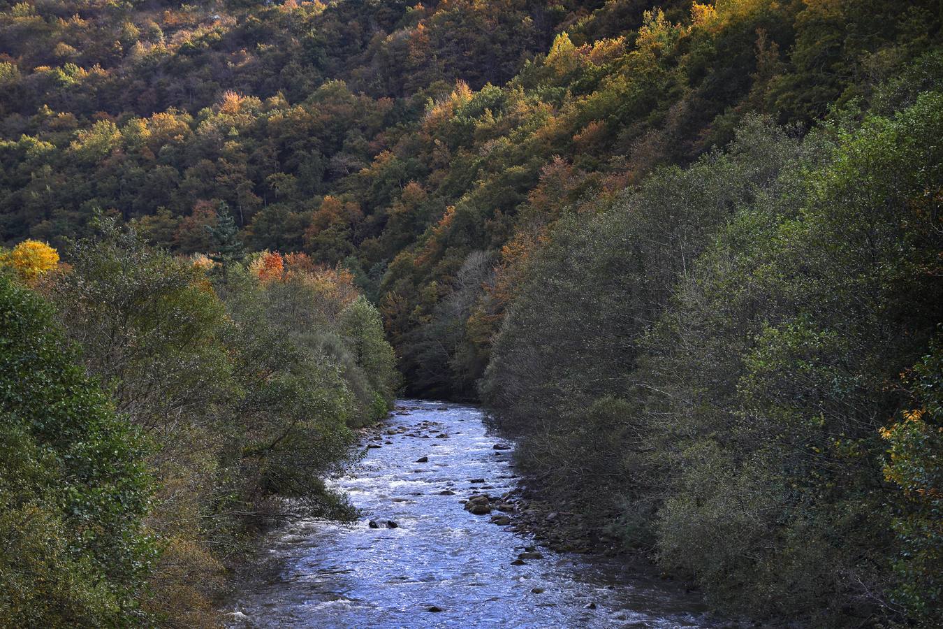 El otoño ya se deja sentir en los paisajes cántabros, que lucen transformados por esta época del año. Parajes como la Reserva del Saja, el Monte Corona, Los Tojos o Cabezón de la Sal lucen ya con los colores del otoño.