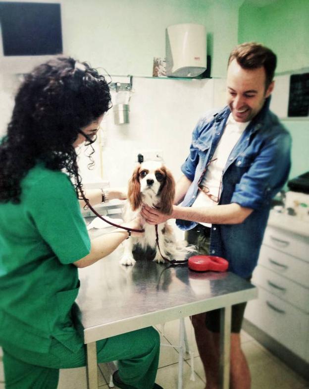 Una visita rutinaria al veterinario.