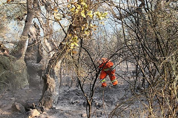 Un peón forestal en una extinción de un incendio en Cambarco (Cabezón de Liébana). 