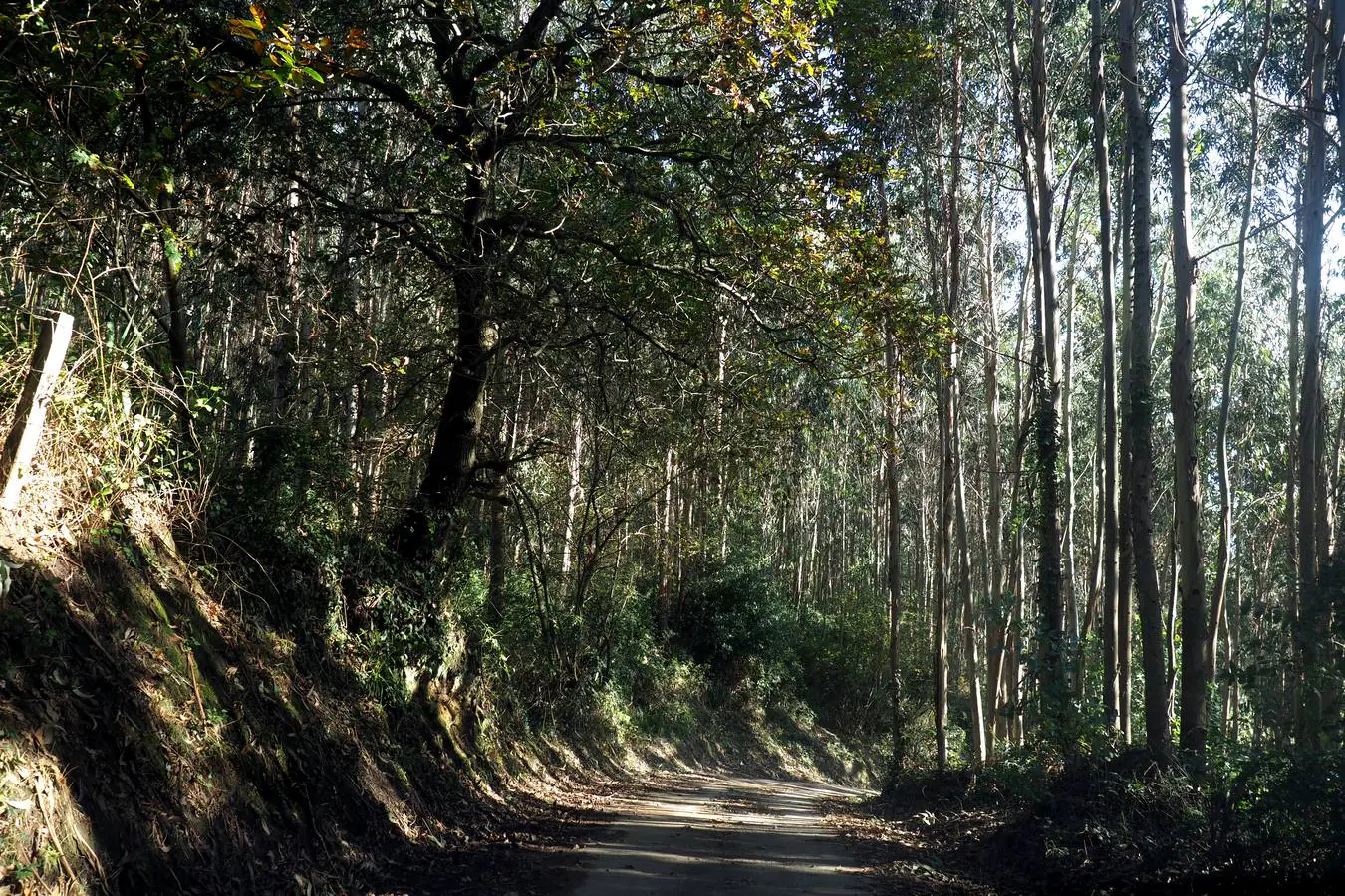 El municipio cántabro cuenta con paisajes y escenarios de ensueño, muchos de ellos poco conocidos. Estos son algunos de los más destacados.