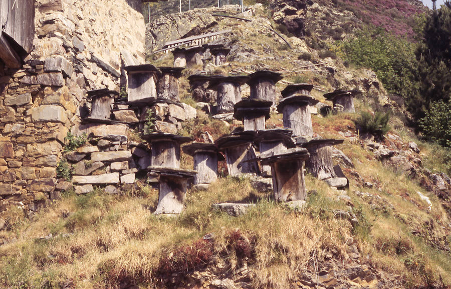 La familia de Rafael Suárez dona su archivo fotográfico al Pueblo de Asturias el archivo del montañero