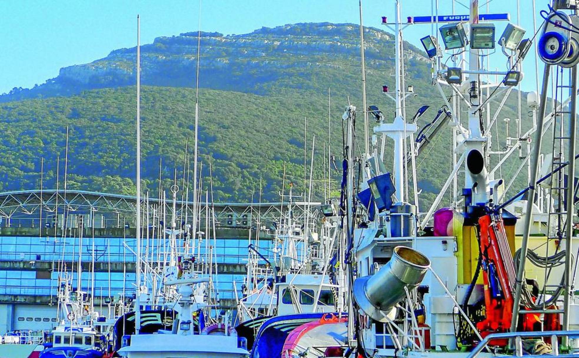 Cima del monte Buciero, desde el puerto de Santoña.