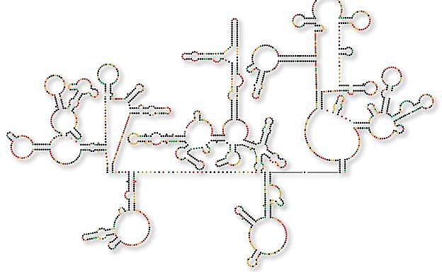 'Hablemos de salud' cierra el ciclo de otoño con una charla sobre el VIH