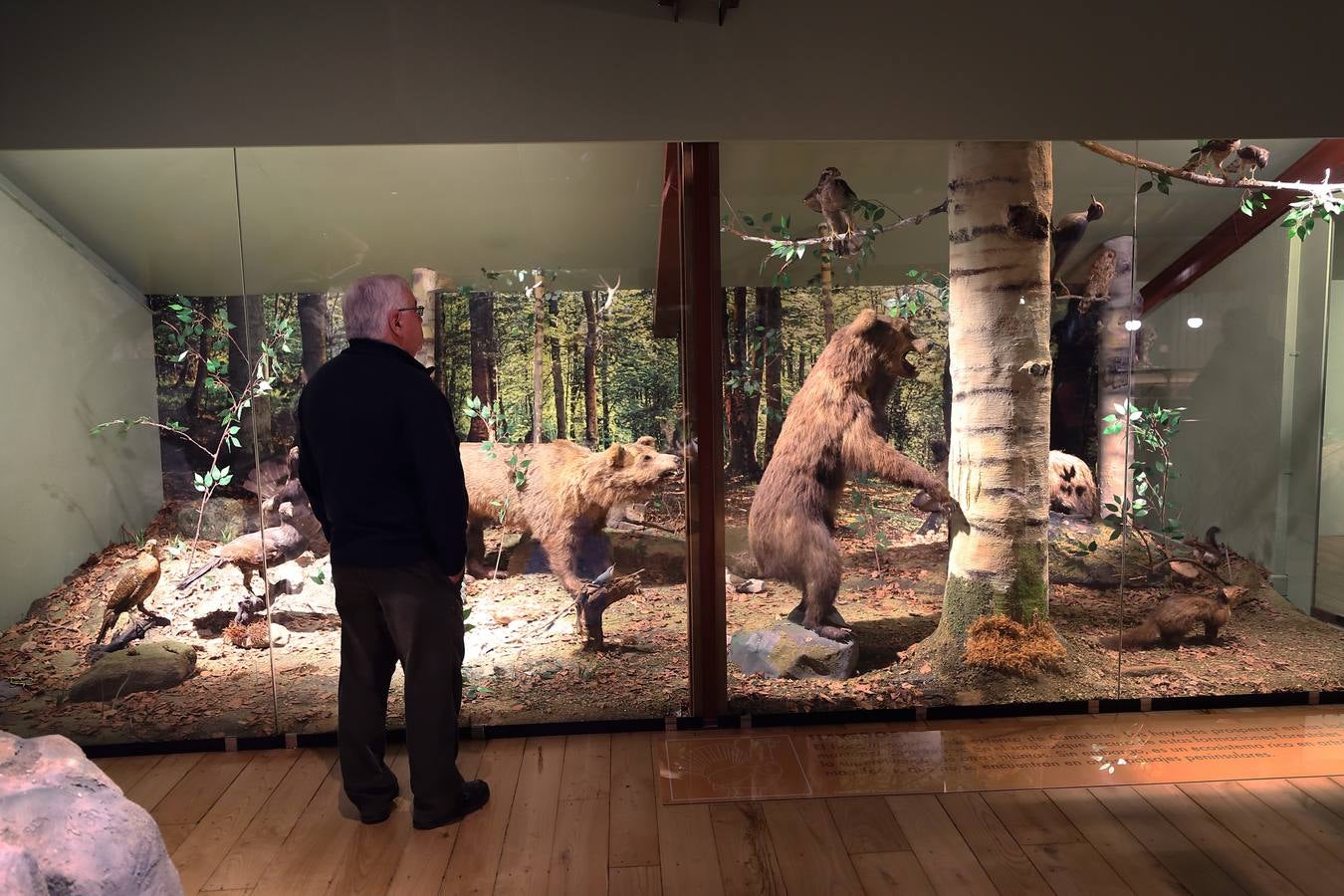 Fotos: Reabierto el Museo de la Naturaleza tras su reforma