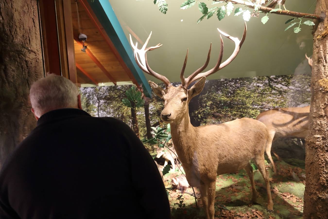 Fotos: Reabierto el Museo de la Naturaleza tras su reforma