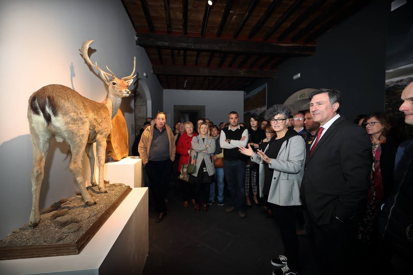 Fotos: Reabierto el Museo de la Naturaleza tras su reforma