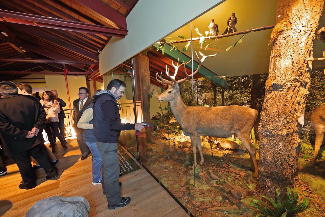 Fotos: Reabierto el Museo de la Naturaleza tras su reforma