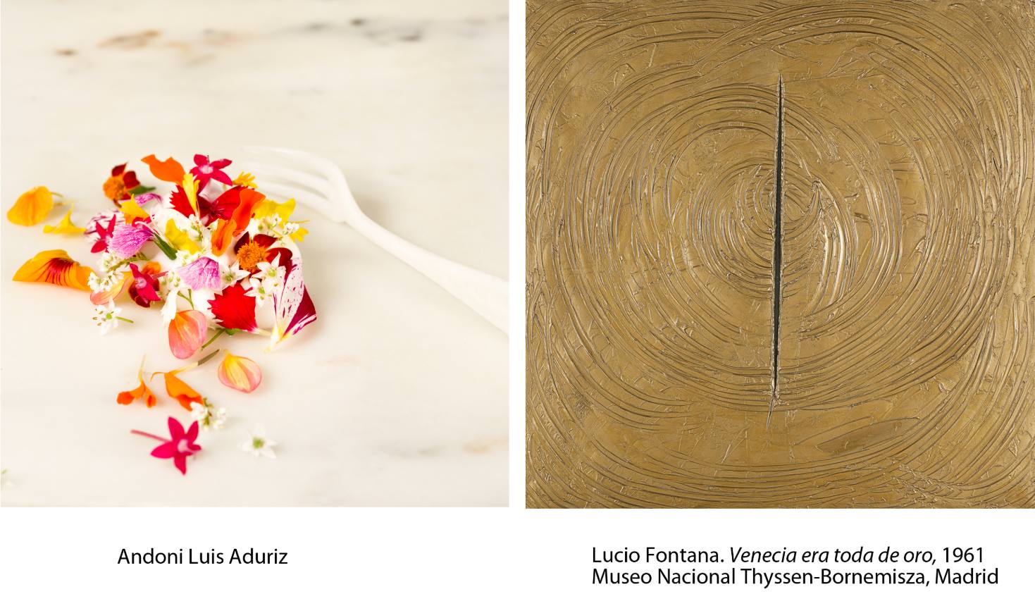 Fotos: Los cuadros y los platos