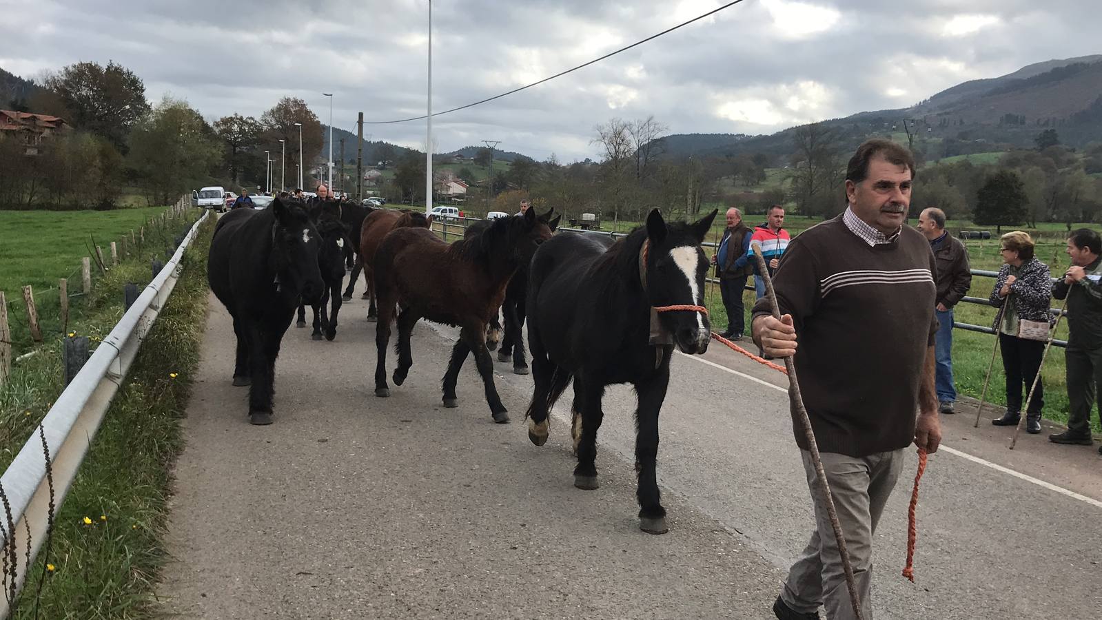 Fotos: Feria en Ibio