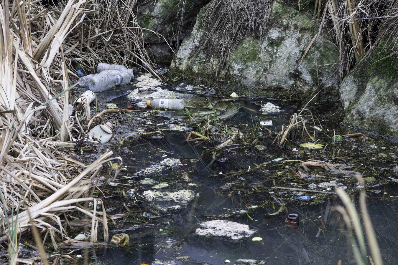 Fotos: Denuncian vertidos incontrolados en la Ría de Raos