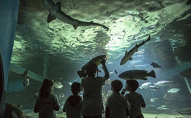 Imagen principal - Los 10 lugares más visitados de Santander