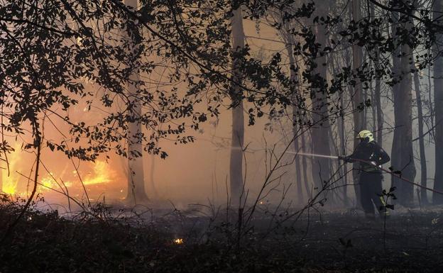 Cuatro incendios forestales permanecen activos en Cantabria