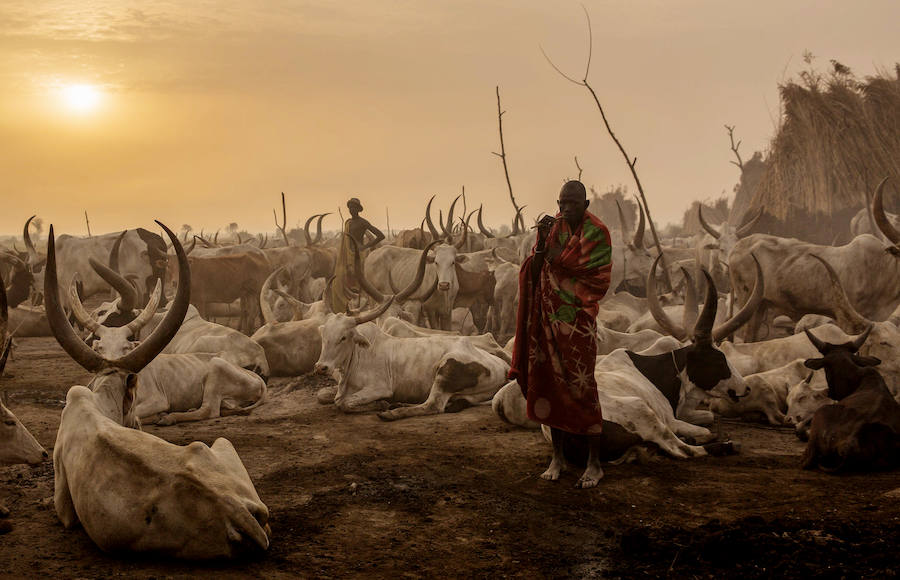 Pastores nómadas se desplazan por la orilla del Nilo en busca de pastos y agua para su ganado. 