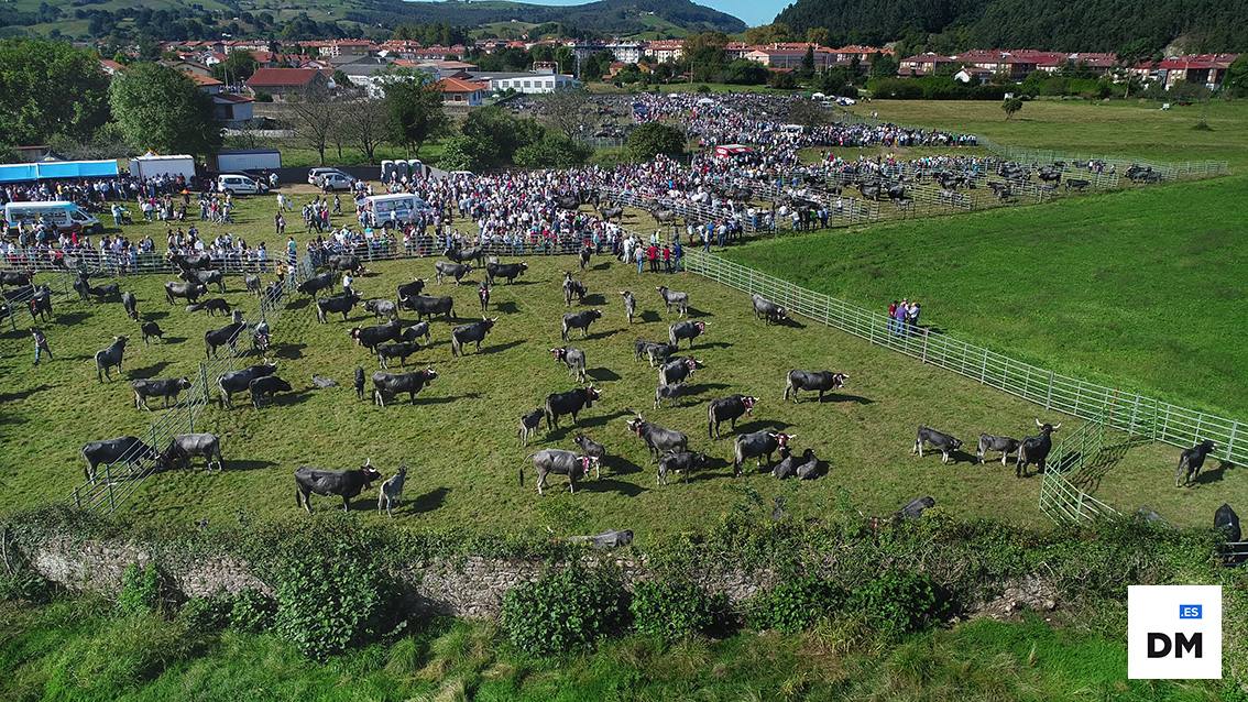 Fotos: Cantabria desde el aire