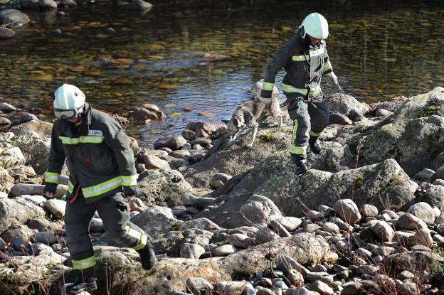 Los bomberos, junto al perro que rescataron en el cauce del río Saja.