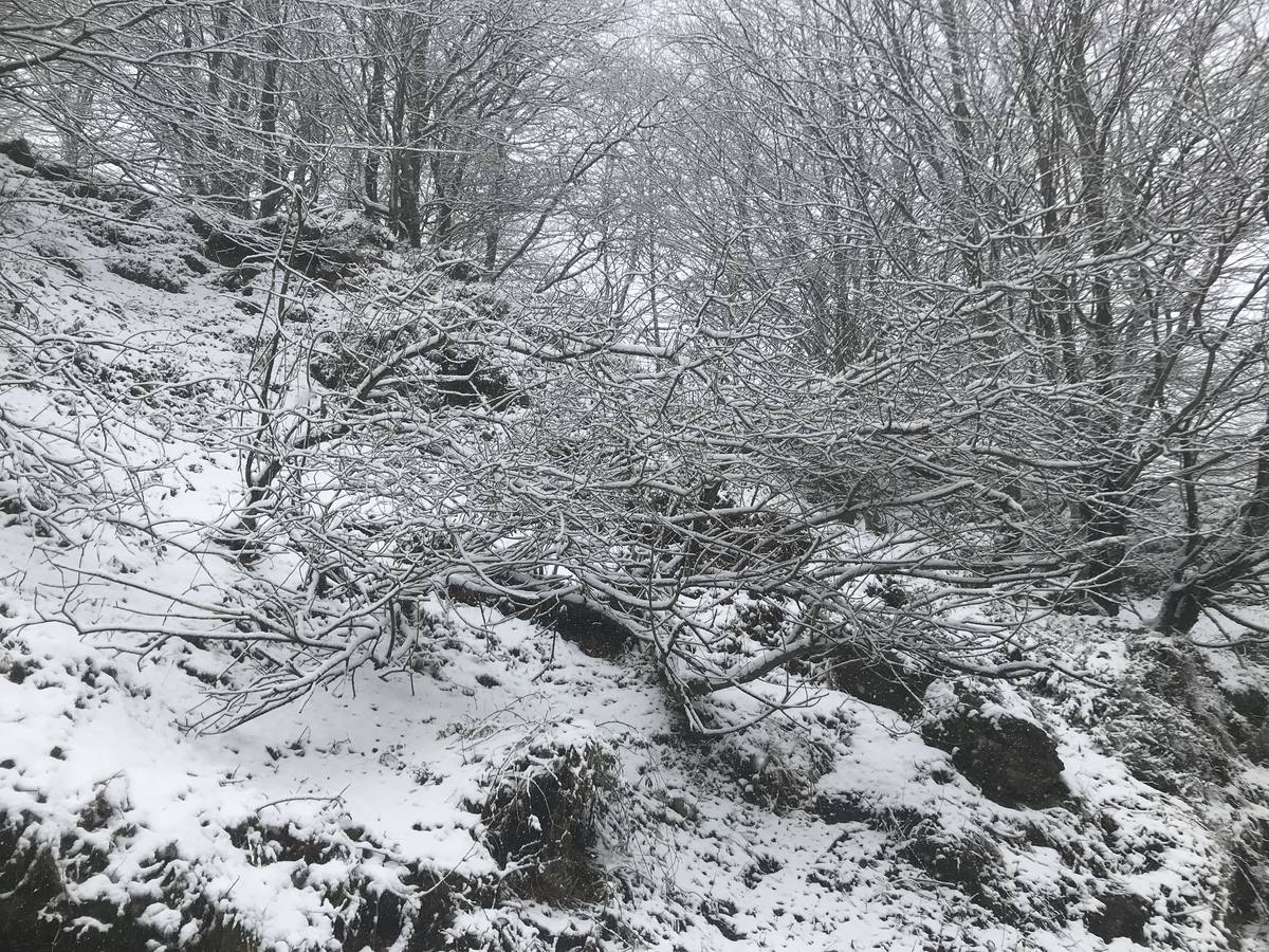 Fotos: La subida a Lunada se tiñe de blanco